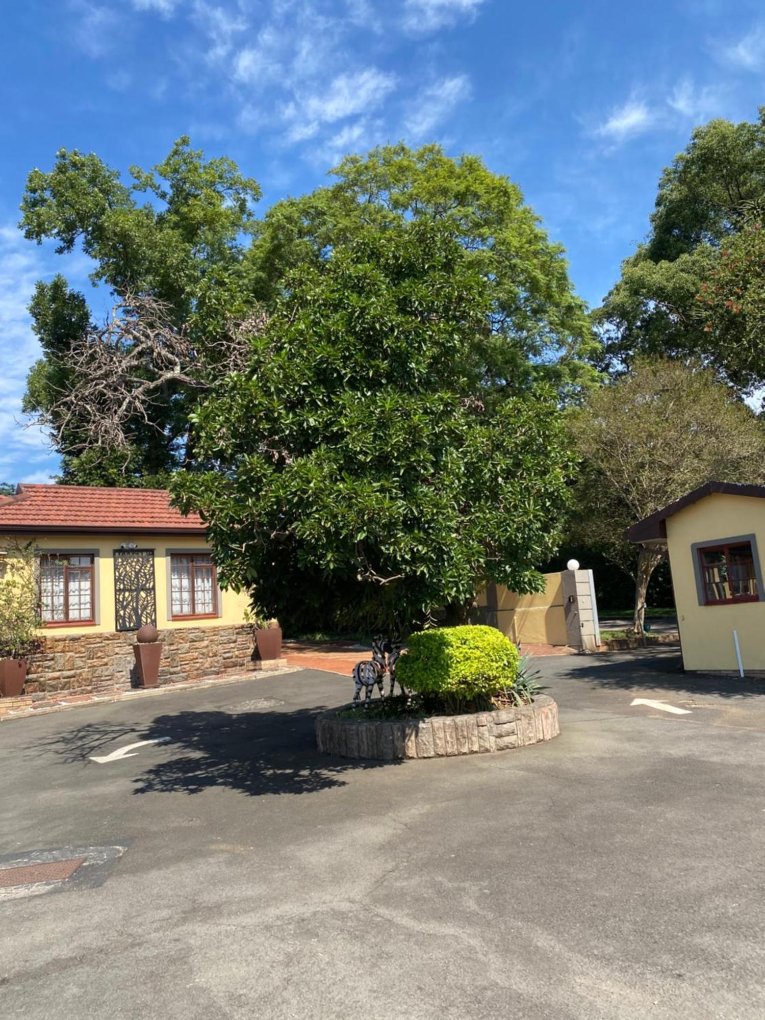 Madlula'S Guesthouse Питърмарицбург Екстериор снимка